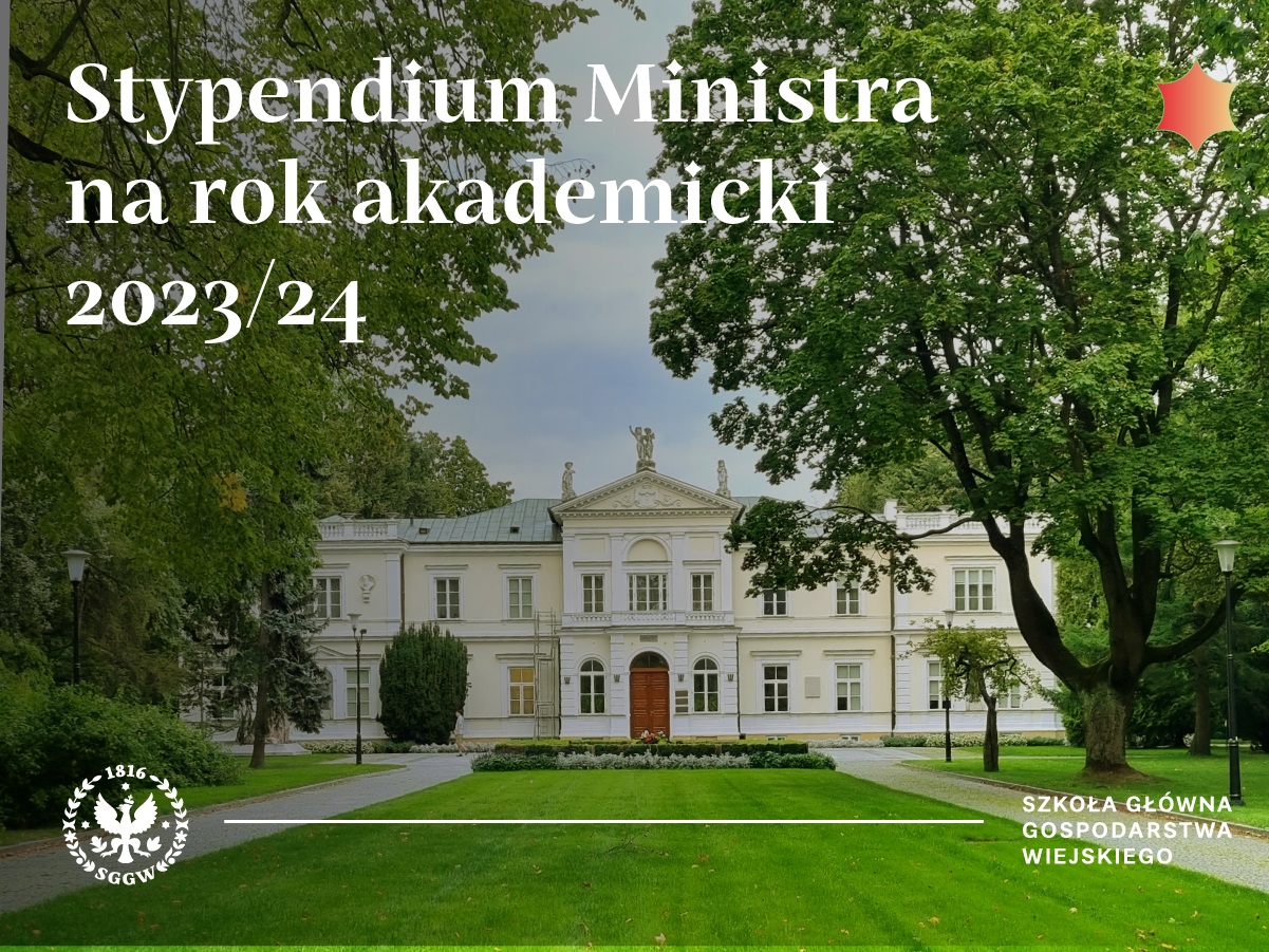 Stypendium ministra